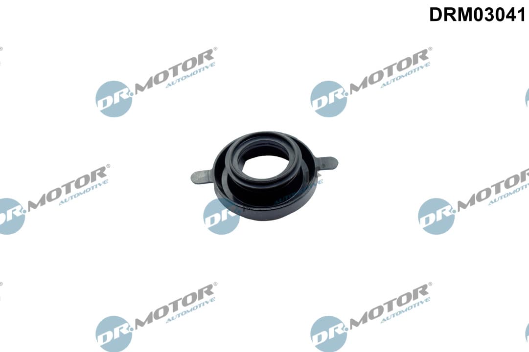 DR.MOTOR AUTOMOTIVE Tesnenie držiaka vstrekovacej trysky DRM03041 1