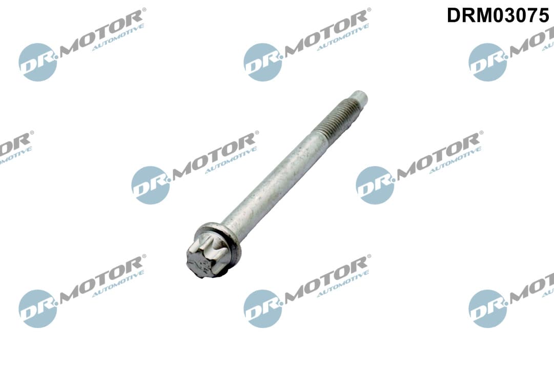 DR.MOTOR AUTOMOTIVE Skrutka, držiak vstrekovacej trysky DRM03075 1