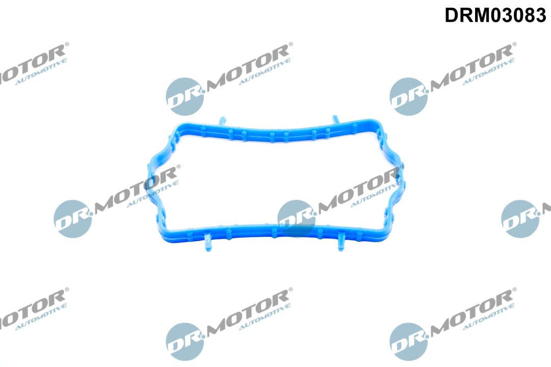 DR.MOTOR AUTOMOTIVE Tesnenie obalu termostatu DRM03083 1