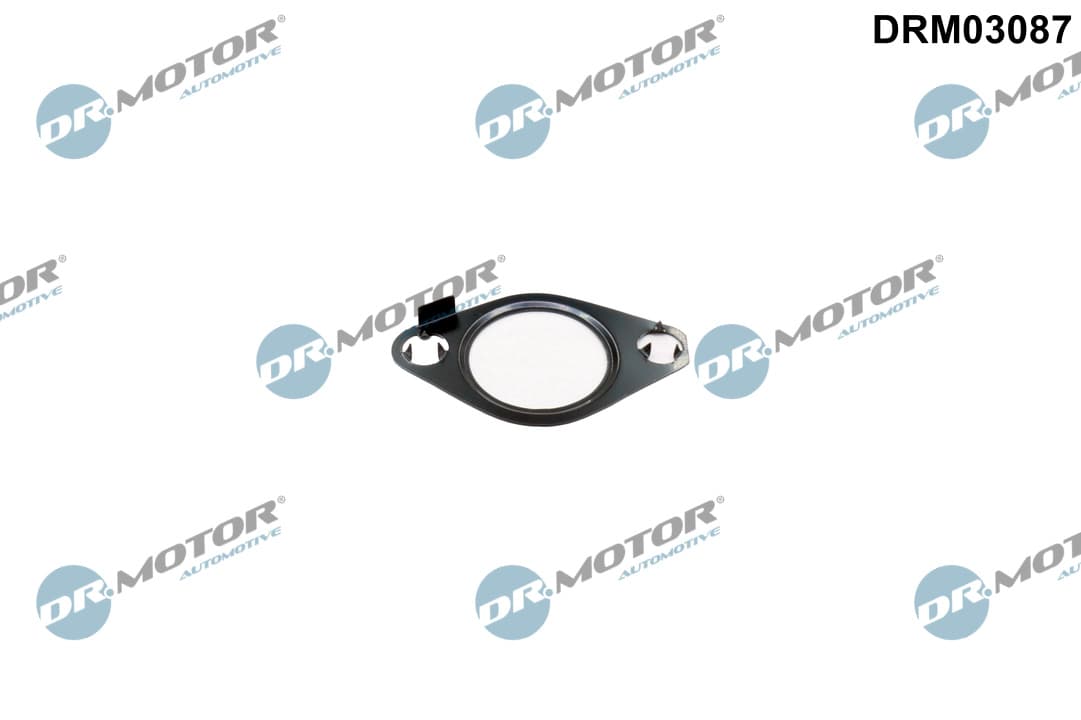 DR.MOTOR AUTOMOTIVE Tesnenie, AGR-Ventil DRM03087 1