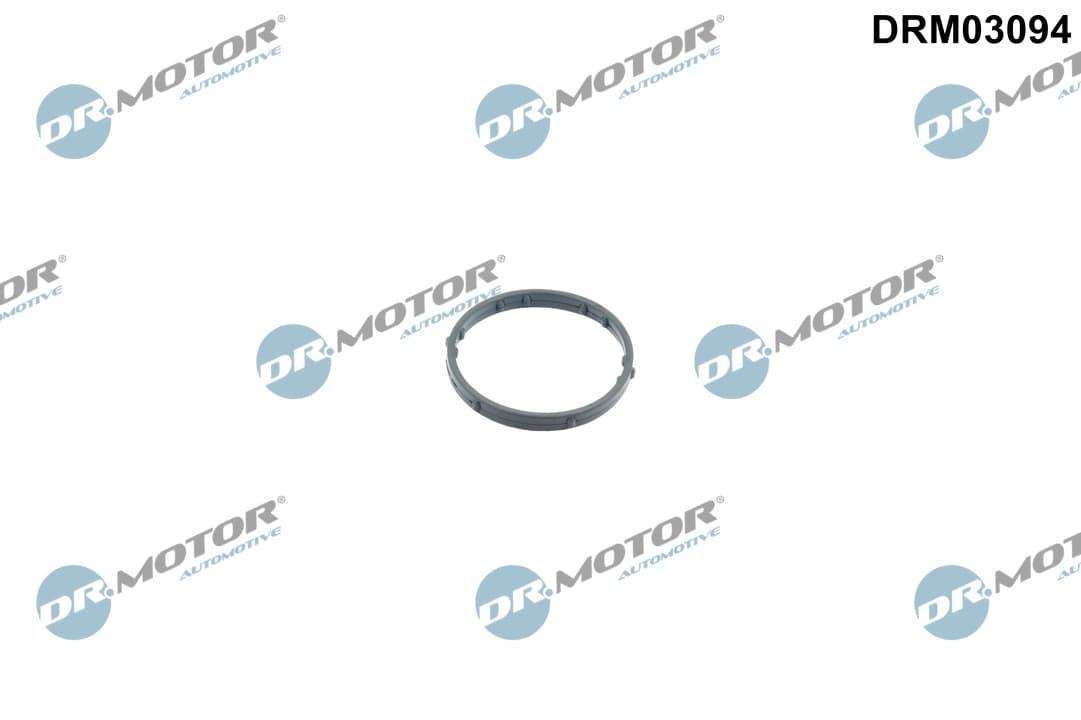 DR.MOTOR AUTOMOTIVE Tesnenie obalu termostatu DRM03094 1