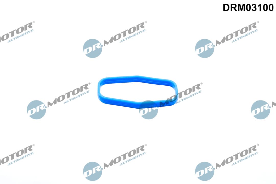 DR.MOTOR AUTOMOTIVE Tesnenie, olejové čerpadlo DRM03100 1