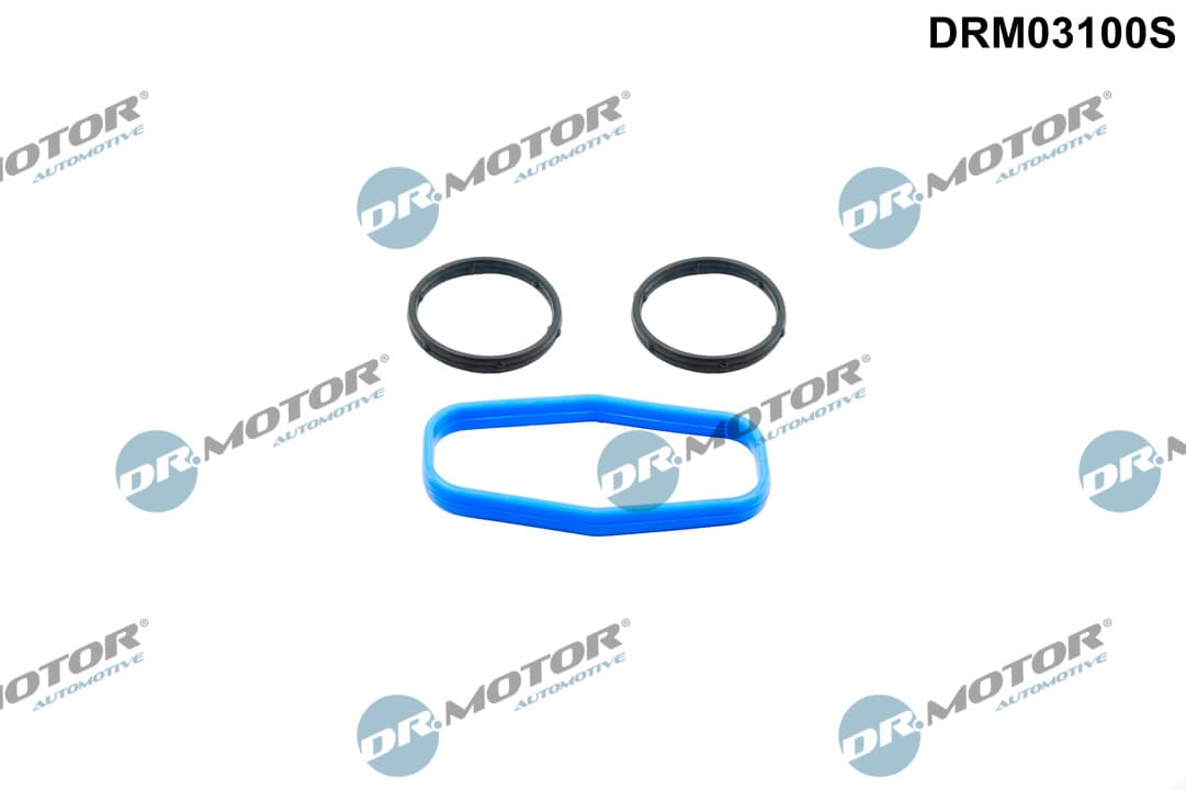 DR.MOTOR AUTOMOTIVE Súprava tesnení, čerpadlo oleja DRM03100S 1