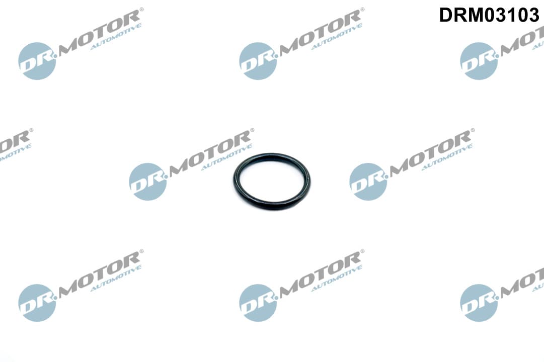 DR.MOTOR AUTOMOTIVE Tesnenie obalu termostatu DRM03103 1