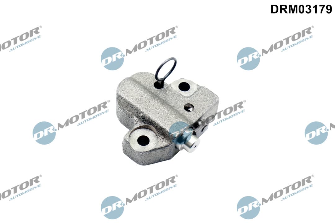 DR.MOTOR AUTOMOTIVE Napinák reťaze, rozvodová reťaz DRM03179 1