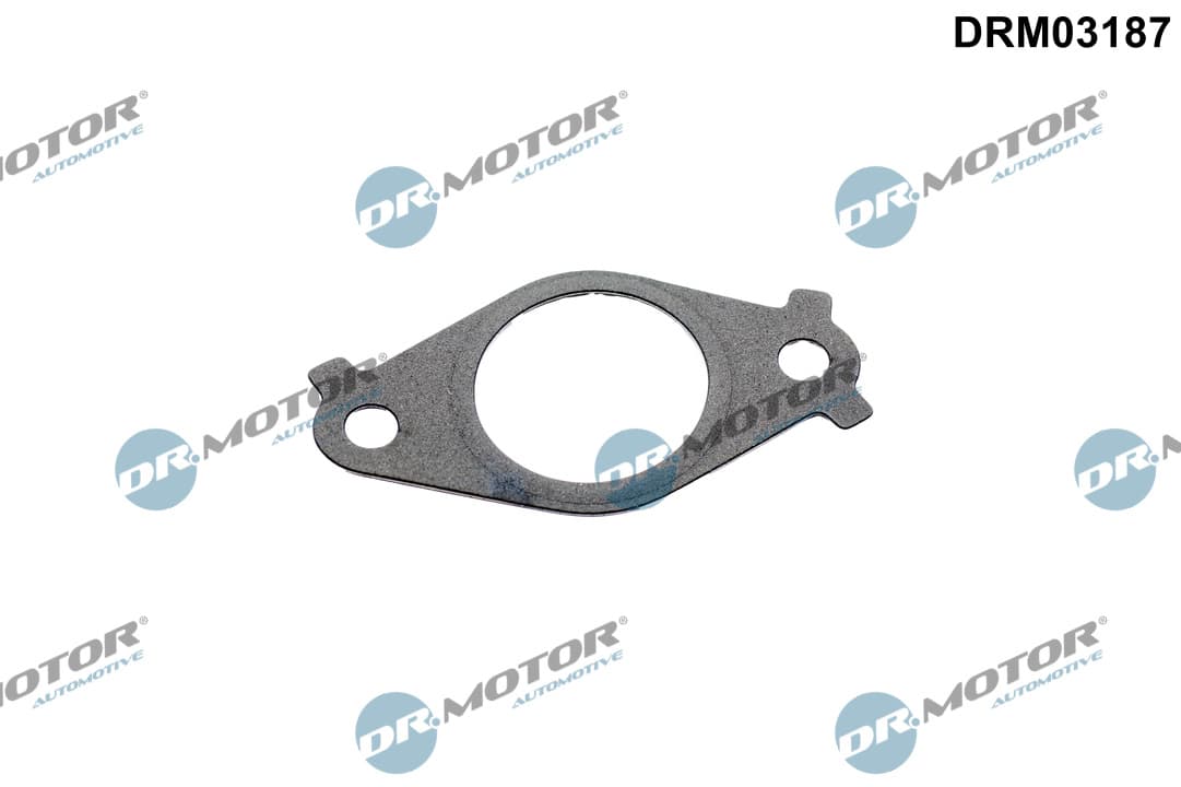 DR.MOTOR AUTOMOTIVE Tesnenie, Vedenie AGR-ventilu DRM03187 1