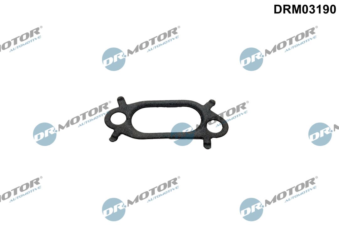 DR.MOTOR AUTOMOTIVE Tesnenie prívodu vody DRM03190 1