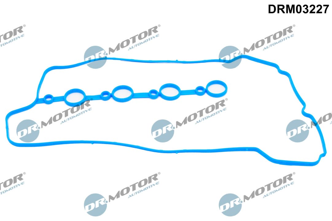 DR.MOTOR AUTOMOTIVE Tesnenie veka hlavy valcov DRM03227 1