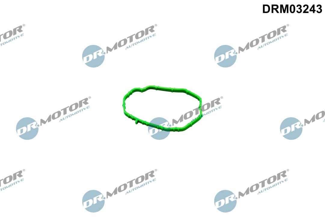 DR.MOTOR AUTOMOTIVE Tesnenie obalu termostatu DRM03243 1