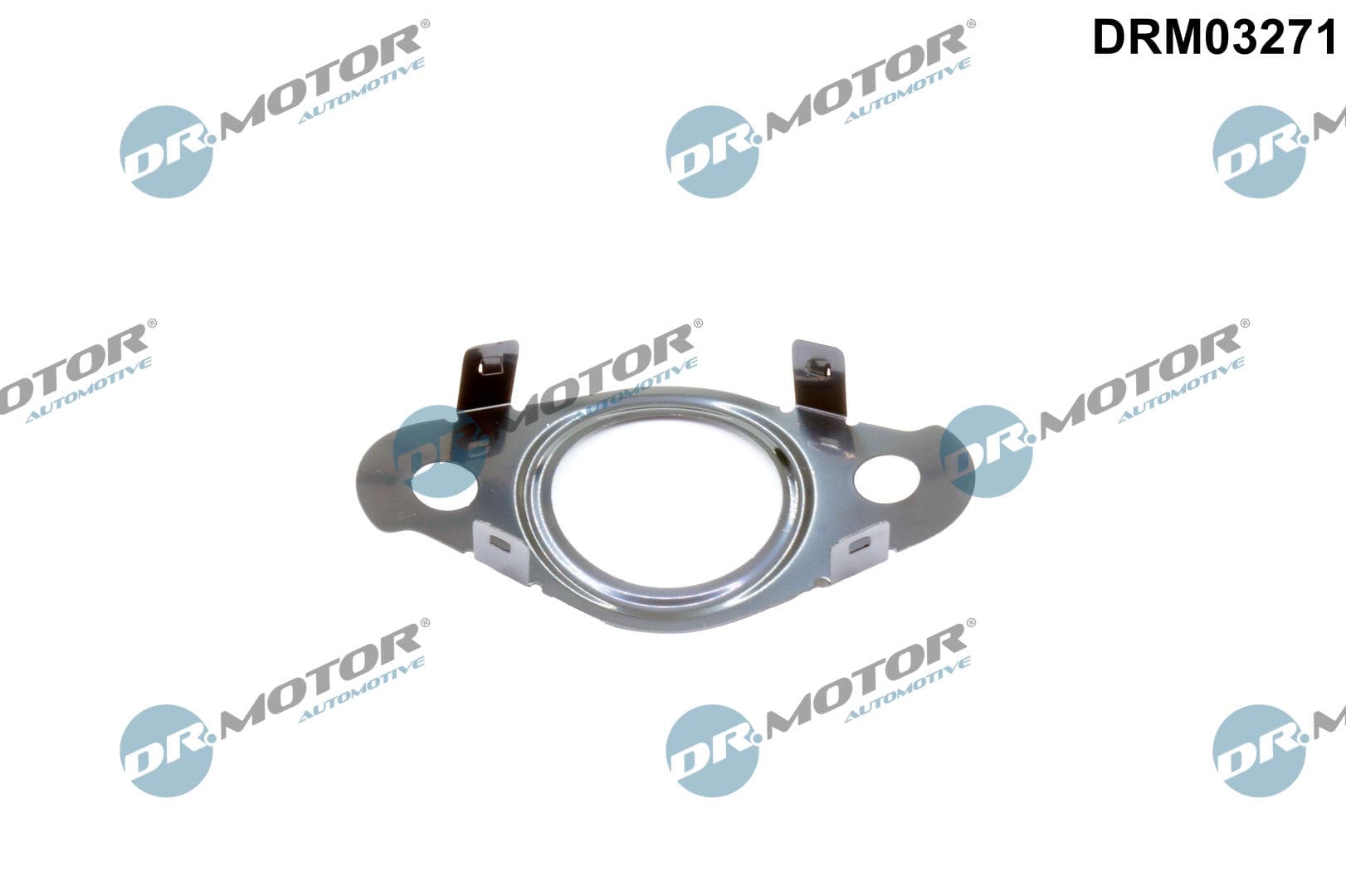 DR.MOTOR AUTOMOTIVE Tesnenie, Vedenie AGR-ventilu DRM03271 1