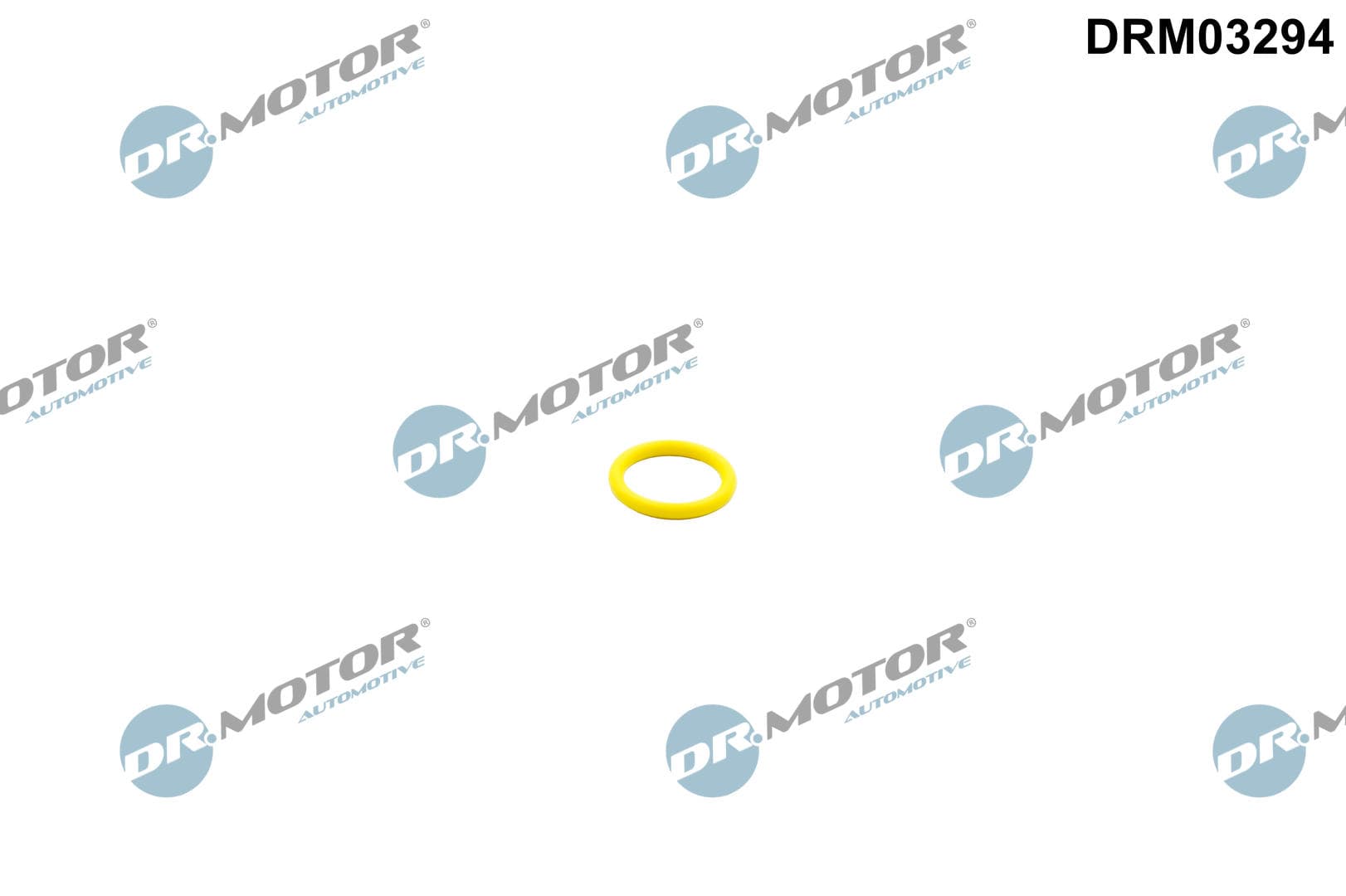 DR.MOTOR AUTOMOTIVE Uzatvárací krúžok, palivové čerpadlo DRM03294 1