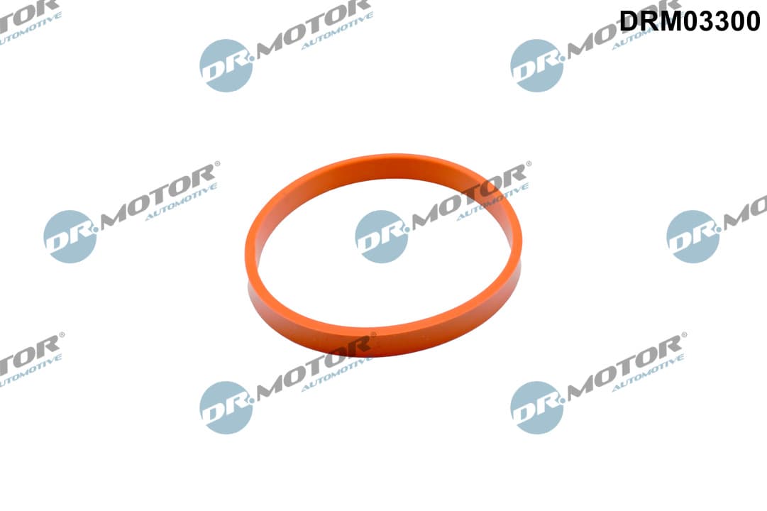 DR.MOTOR AUTOMOTIVE Tesnenie, hrdlo škrtiacej klapky DRM03300 1