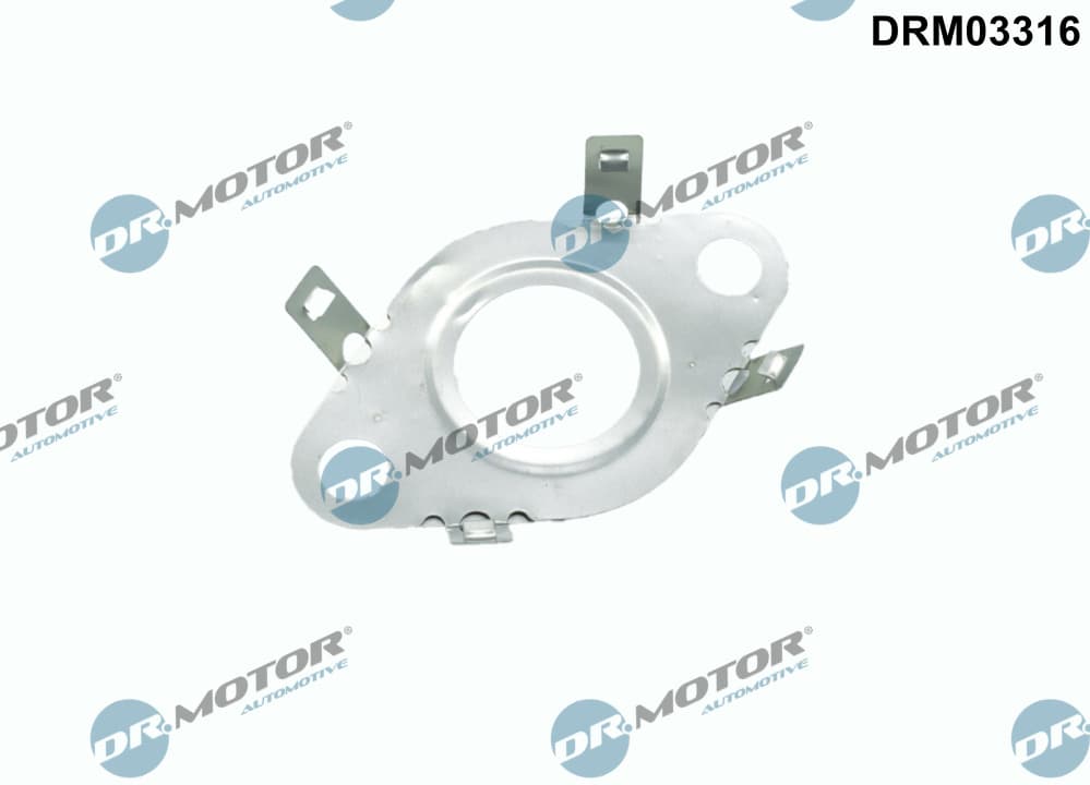 DR.MOTOR AUTOMOTIVE Tesnenie, Vedenie AGR-ventilu DRM03316 1
