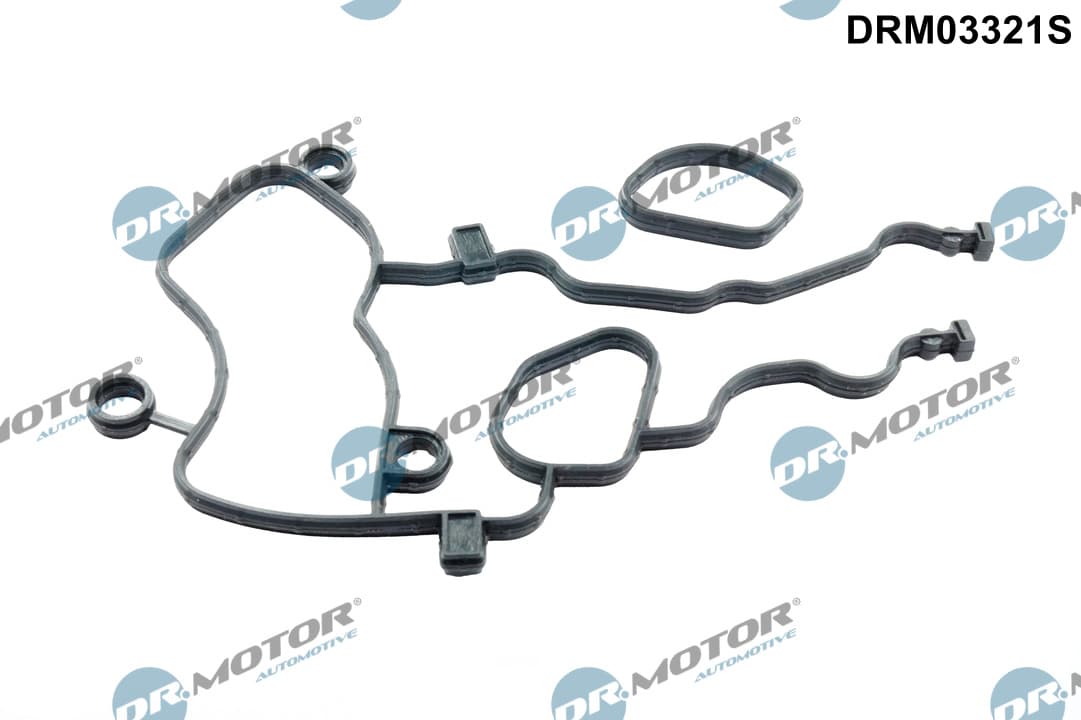DR.MOTOR AUTOMOTIVE Sada tesnení skrine rozvodového mechanizmu DRM03321S 1