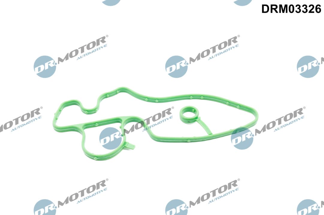 DR.MOTOR AUTOMOTIVE Tesnenie príruby chladenia DRM03326 1