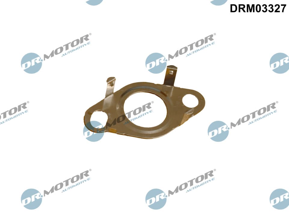 DR.MOTOR AUTOMOTIVE Tesnenie, Vedenie AGR-ventilu DRM03327 1