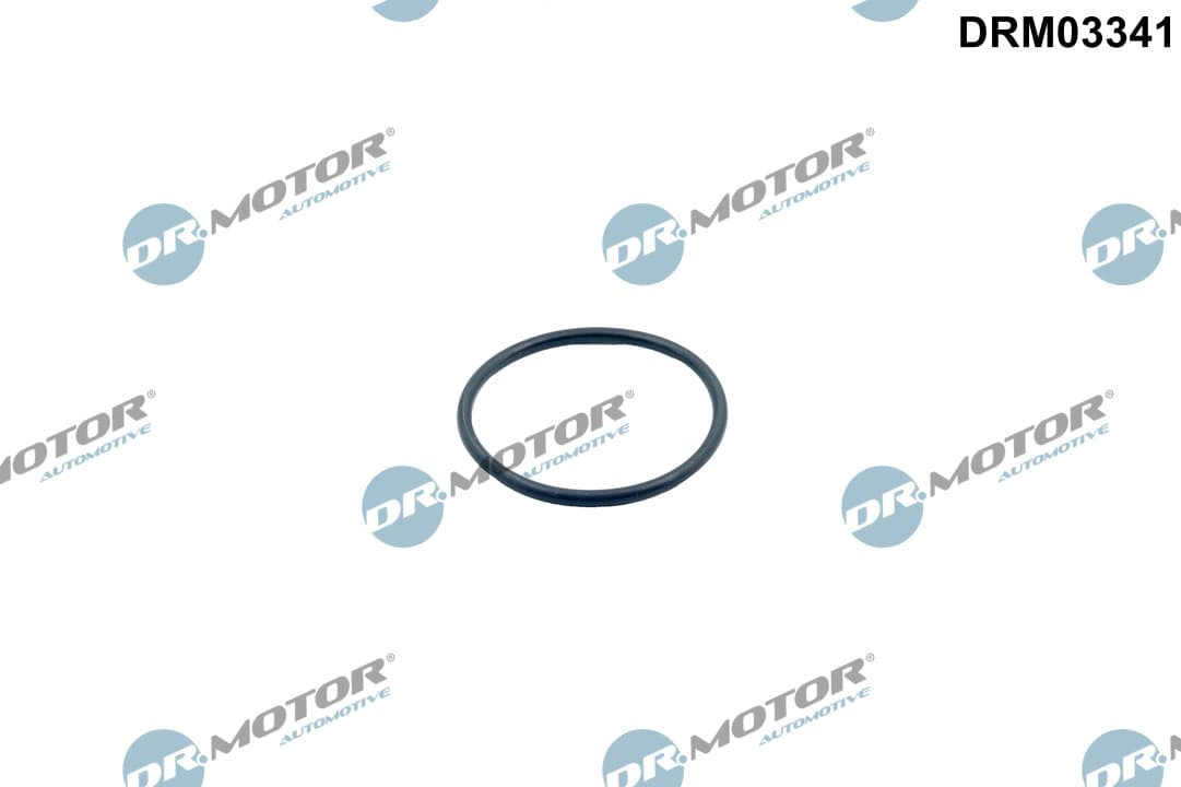 DR.MOTOR AUTOMOTIVE Tesnenie termostatu DRM03341 1
