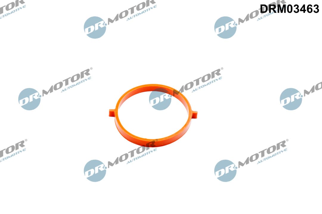 DR.MOTOR AUTOMOTIVE Tesnenie, hrdlo škrtiacej klapky DRM03463 1