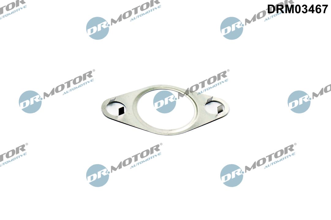 DR.MOTOR AUTOMOTIVE Tesnenie, AGR-Ventil DRM03467 1
