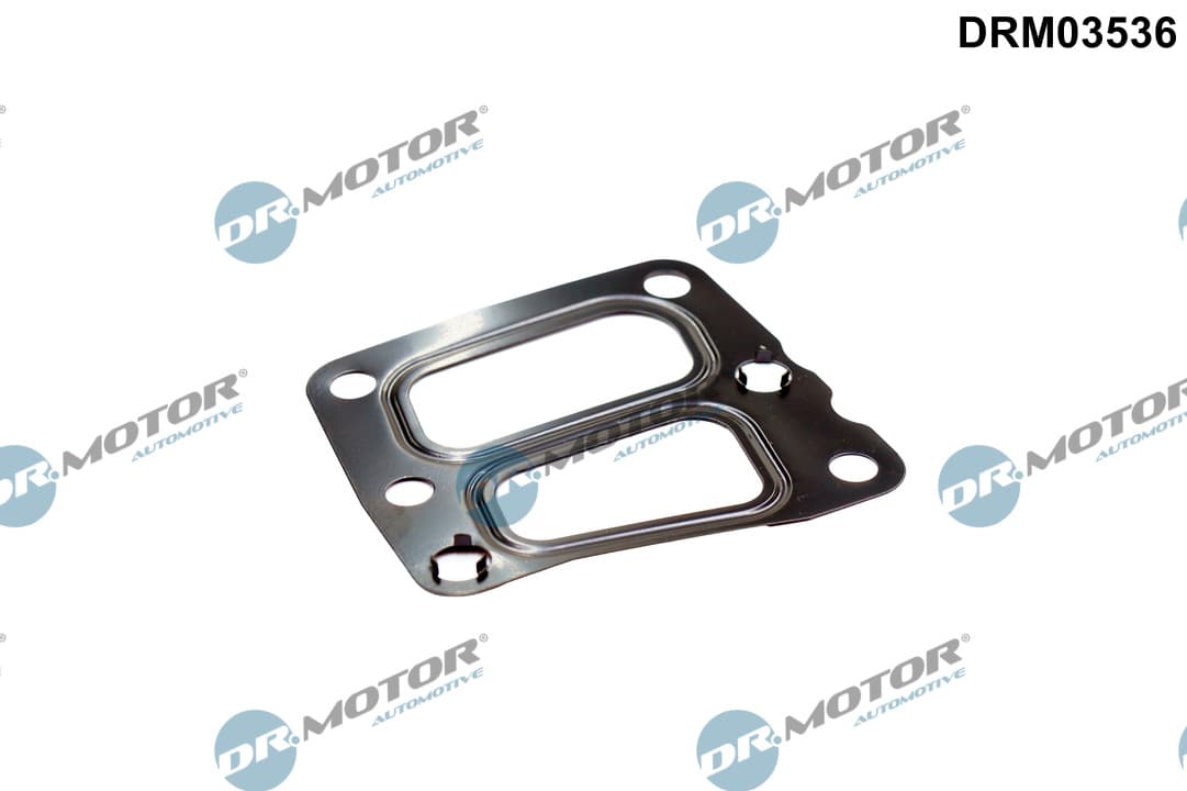 DR.MOTOR AUTOMOTIVE Tesnenie, AGR-Ventil DRM03536 1