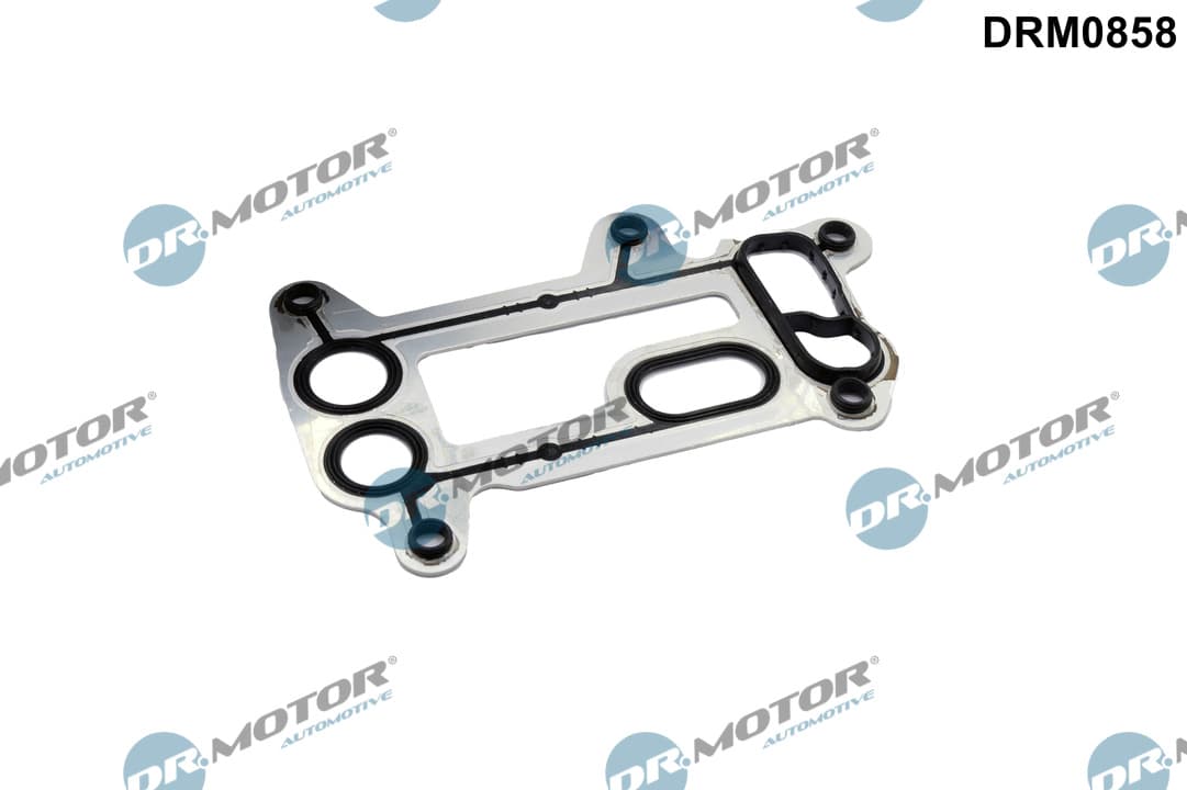 DR.MOTOR AUTOMOTIVE Tesnenie chladiča oleja DRM0858 1
