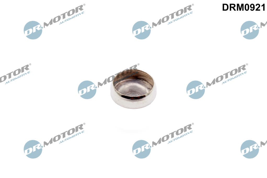 DR.MOTOR AUTOMOTIVE Záslepky Montážnych otvorovhriadeľa vahadla DRM0921 1