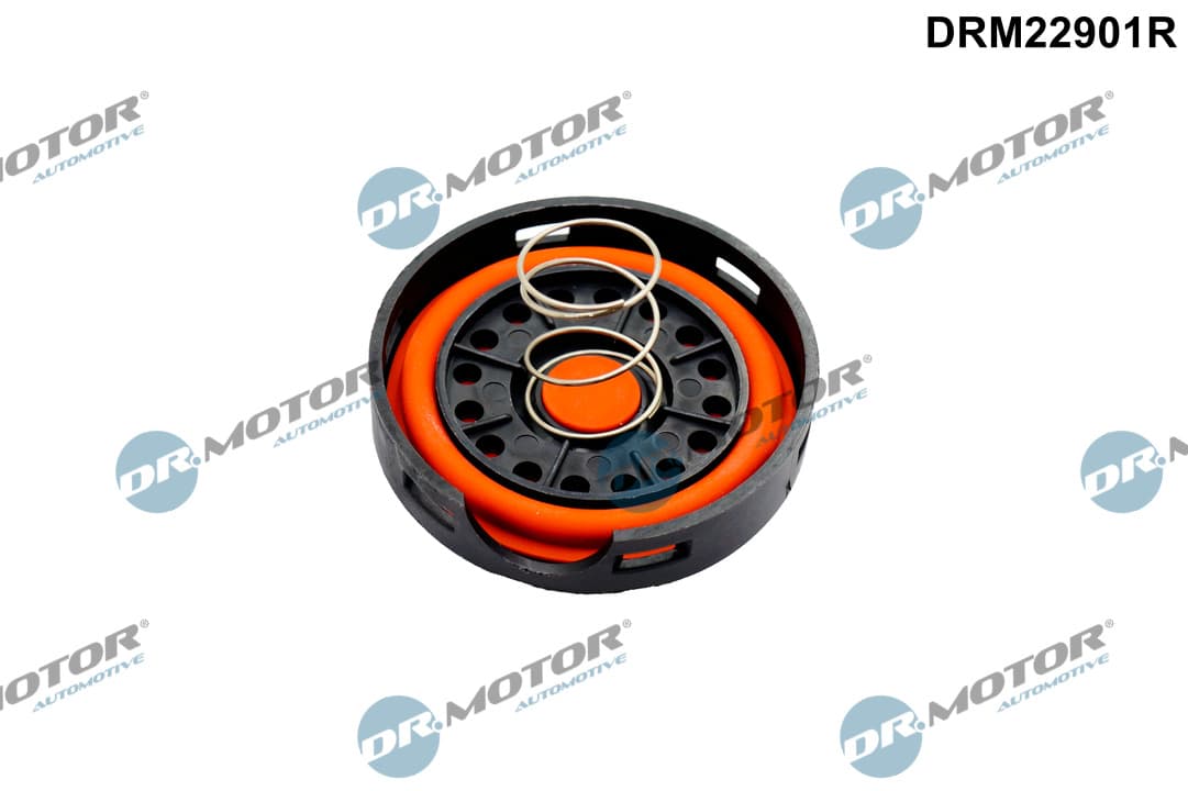DR.MOTOR AUTOMOTIVE Membrana, odvetranie klukovej skrine DRM22901R 1