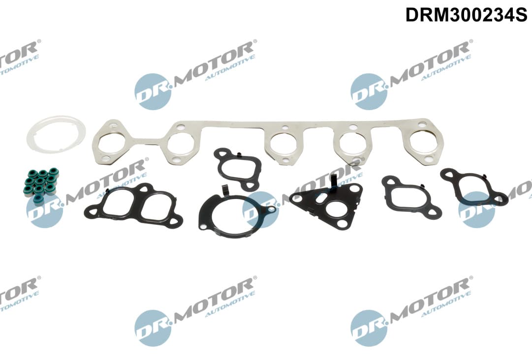 DR.MOTOR AUTOMOTIVE Sada tesnení, Hlava valcov DRM300234S 1