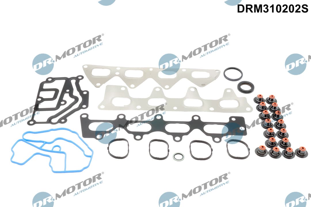 DR.MOTOR AUTOMOTIVE Sada tesnení, Hlava valcov DRM310202S 1