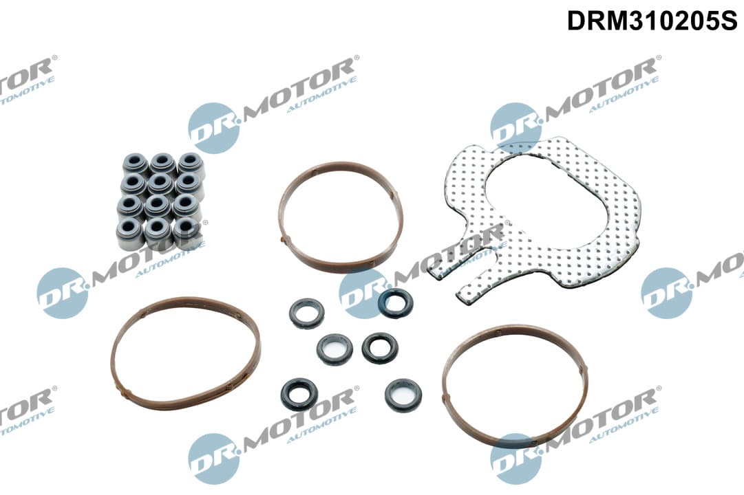 DR.MOTOR AUTOMOTIVE Sada tesnení, Hlava valcov DRM310205S 1