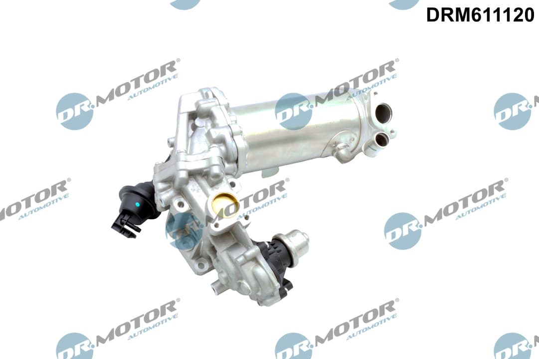 DR.MOTOR AUTOMOTIVE AGR - Ventil DRM611120 1