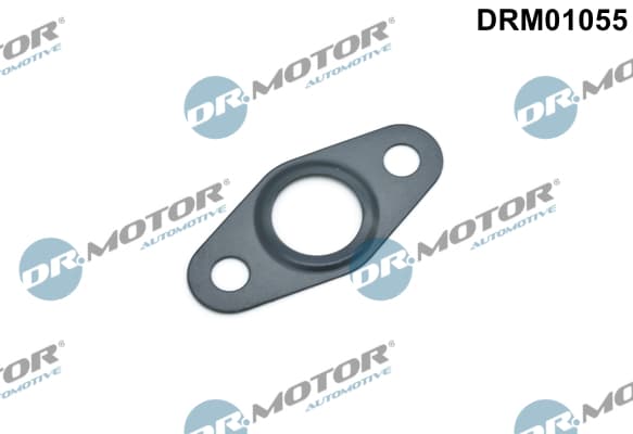 DR.MOTOR AUTOMOTIVE Tesnenie výpustnej skrutky oleja DRM01055 1