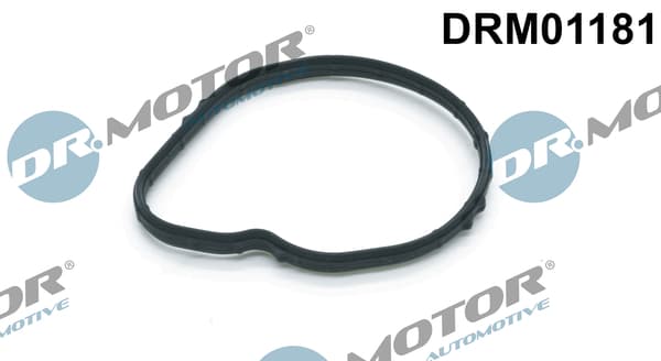 DR.MOTOR AUTOMOTIVE Tesnenie termostatu DRM01181 1