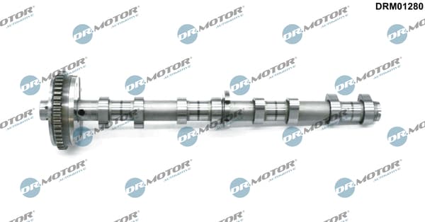 DR.MOTOR AUTOMOTIVE Vačkový hriadeľ DRM01280 1