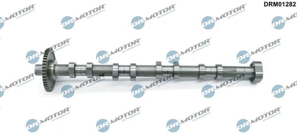 DR.MOTOR AUTOMOTIVE Vačkový hriadeľ DRM01282 1