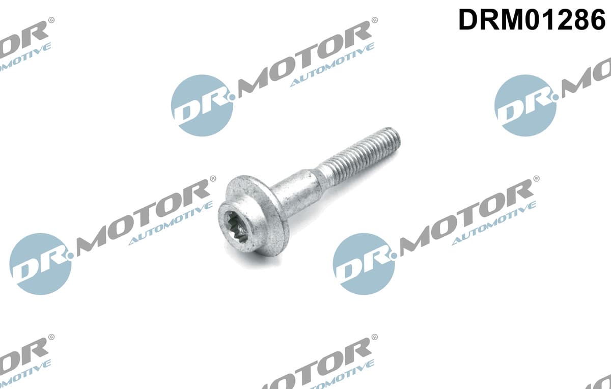 DR.MOTOR AUTOMOTIVE Skrutka, držiak vstrekovacej trysky DRM01286 1