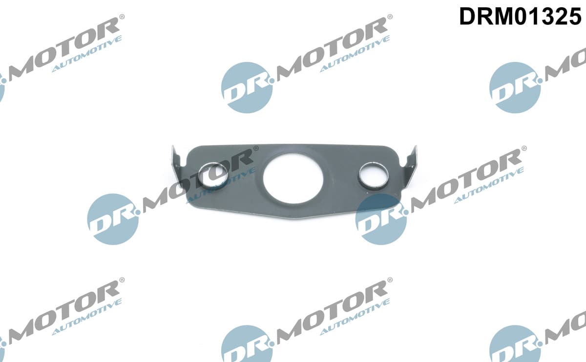 DR.MOTOR AUTOMOTIVE Tesnenie výpustnej skrutky oleja DRM01325 1