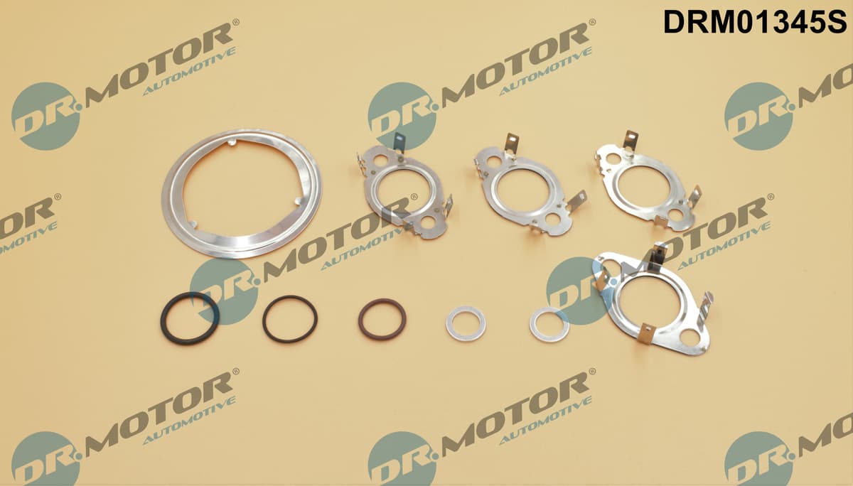 DR.MOTOR AUTOMOTIVE Sada tesnení, AGR-System DRM01345S 1