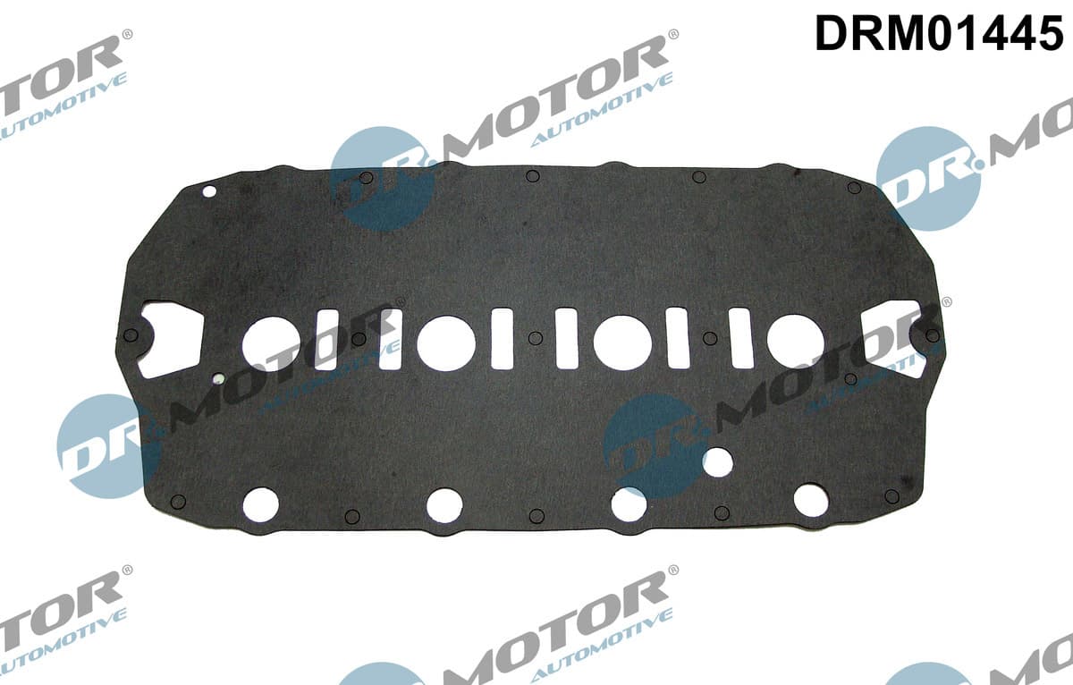 DR.MOTOR AUTOMOTIVE Tesnenie veka hlavy valcov DRM01445 1