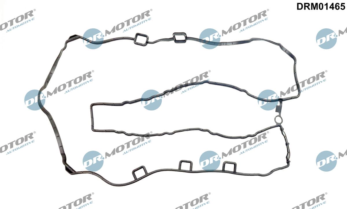 DR.MOTOR AUTOMOTIVE Tesnenie veka hlavy valcov DRM01465 1