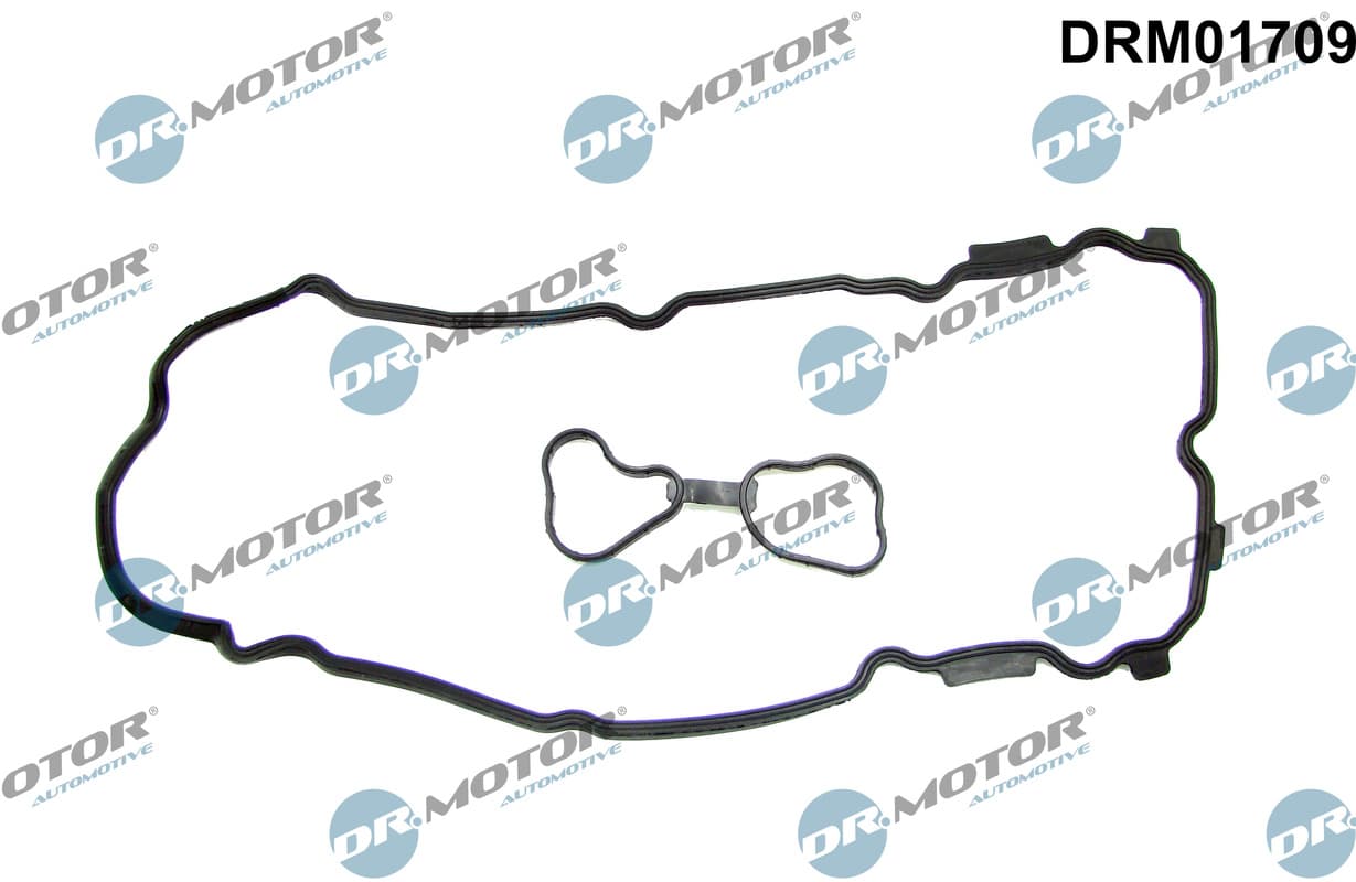 DR.MOTOR AUTOMOTIVE Tesnenie veka hlavy valcov DRM01709 1