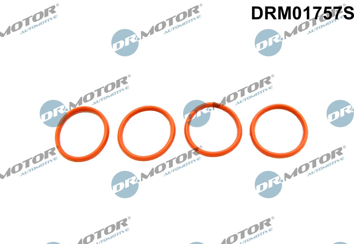 DR.MOTOR AUTOMOTIVE Sada tesnení kolena nasávacieho potrubia DRM01757S 1