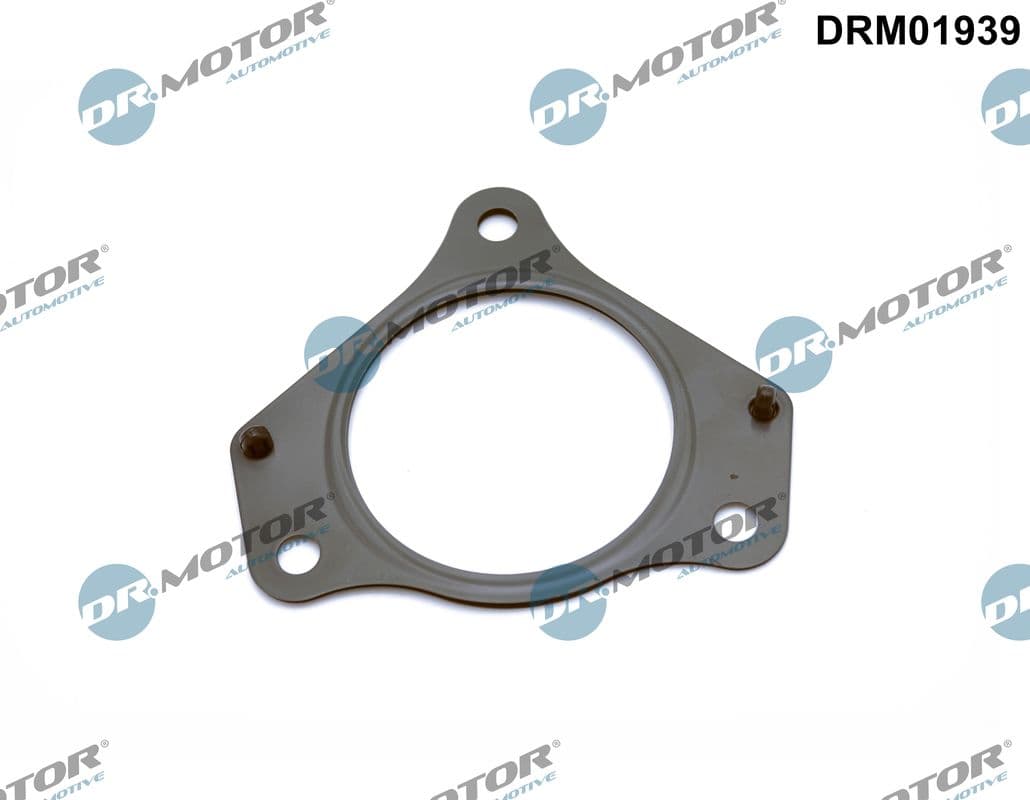 DR.MOTOR AUTOMOTIVE Tesnenie výfukovej trubky DRM01939 1