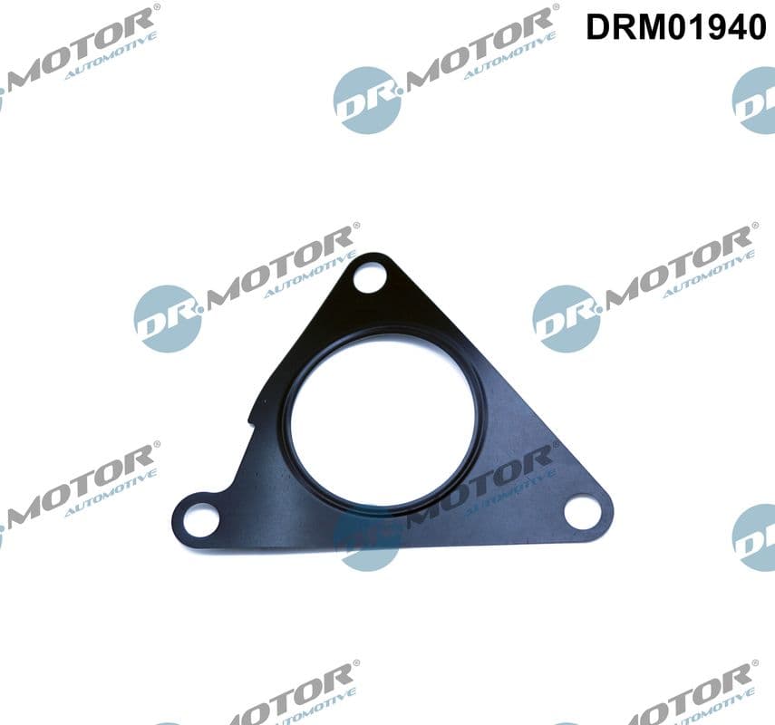 DR.MOTOR AUTOMOTIVE Tesnenie, AGR-Ventil DRM01940 1