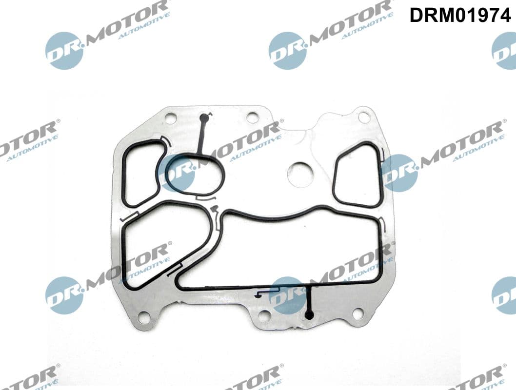 DR.MOTOR AUTOMOTIVE Tesnenie chladiča oleja DRM01974 1