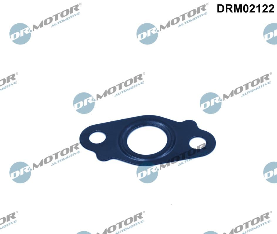 DR.MOTOR AUTOMOTIVE Tesnenie výpustnej skrutky oleja DRM02122 1