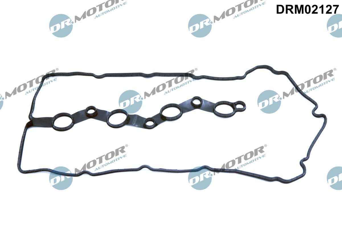 DR.MOTOR AUTOMOTIVE Tesnenie veka hlavy valcov DRM02127 1