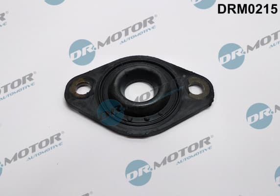 DR.MOTOR AUTOMOTIVE Tesnenie držiaka vstrekovacej trysky DRM0215 1