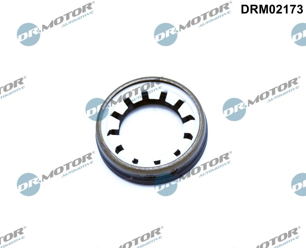 DR.MOTOR AUTOMOTIVE Tesniaci krúžok hriadeľa diferenciálu DRM02173 1