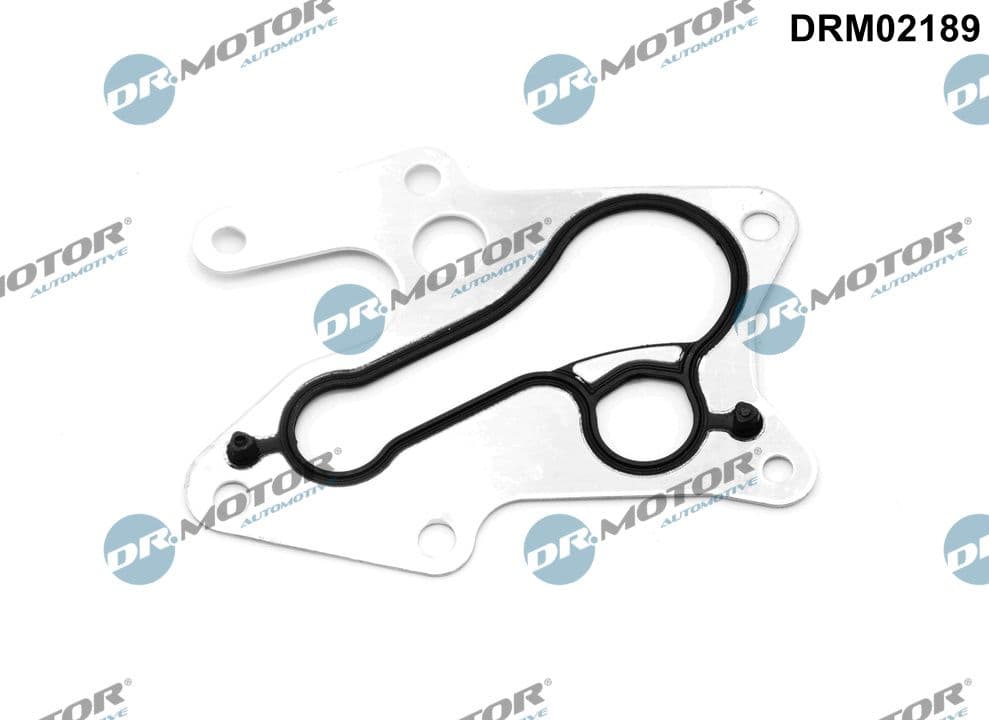 DR.MOTOR AUTOMOTIVE Tesnenie chladiča oleja DRM02189 1